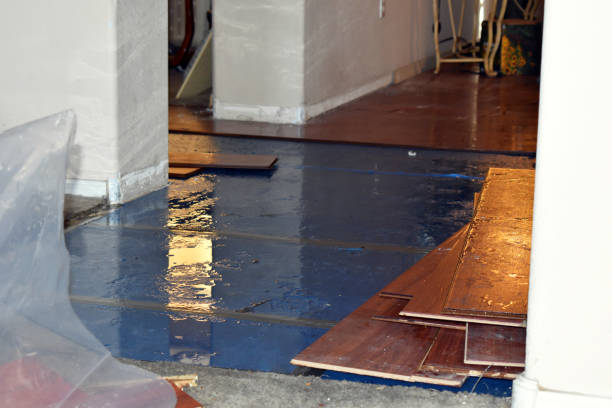 Professional Flood Cleanup technician working in Farmland, IN
